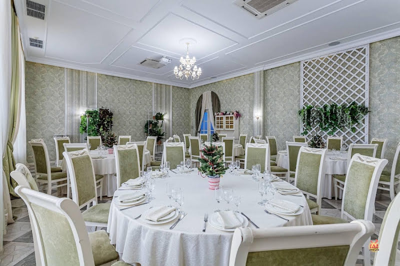 Олива фотография №18