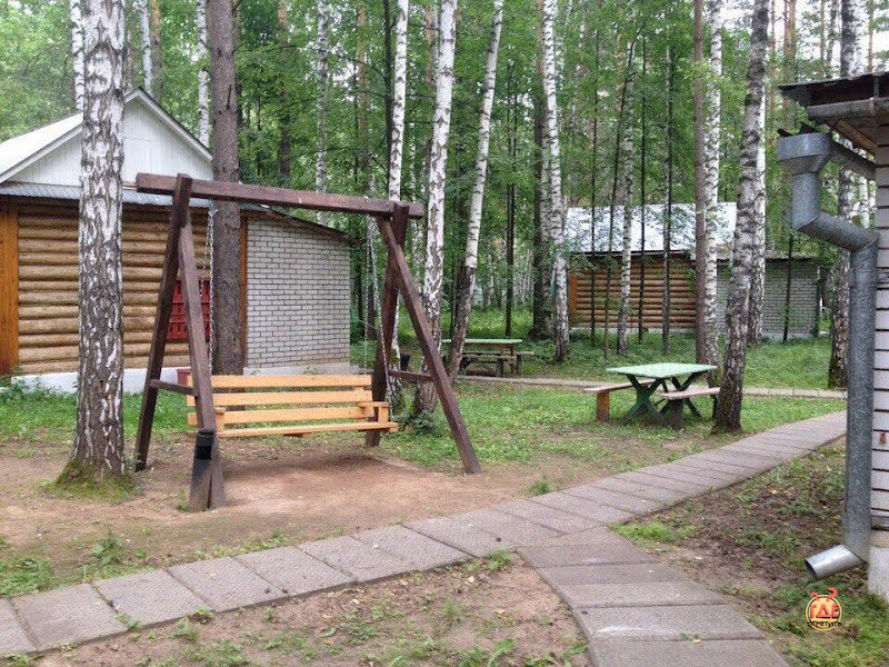 Тонус фотография №18