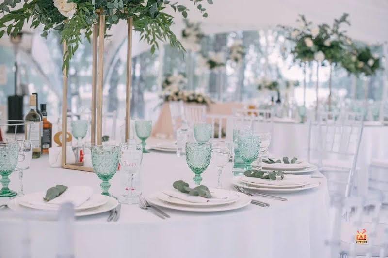 Пеликан фотография №1