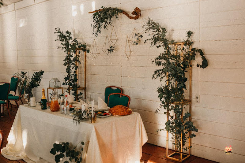 Гуси-Лебеди фотография №18