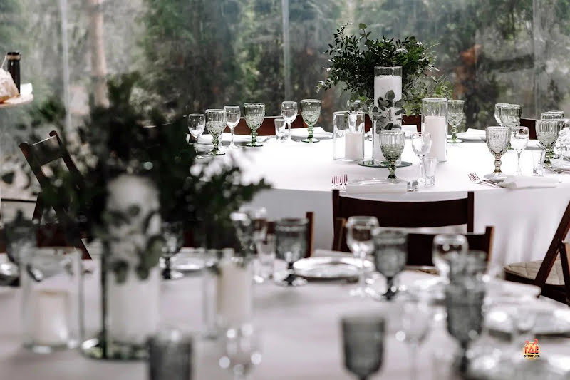 Таежный фотография №1