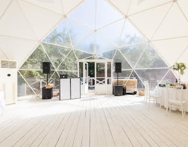 Новый год в Anstar House Vatutinki