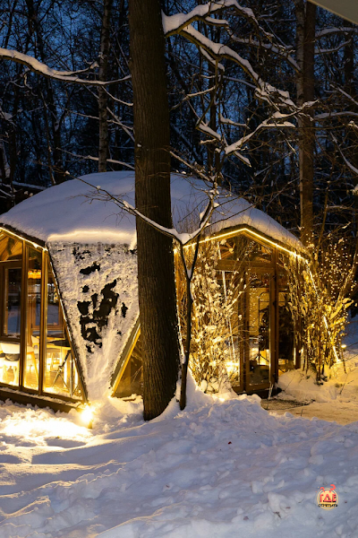 Fox фотография №12