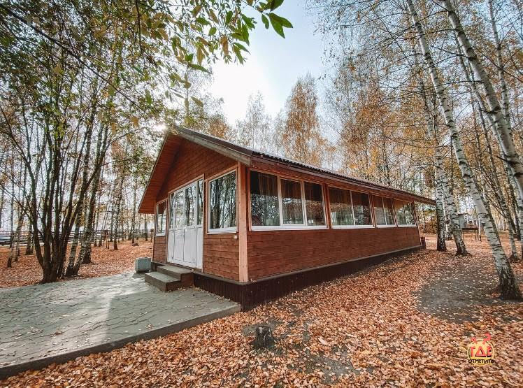 Новинки фотография №15