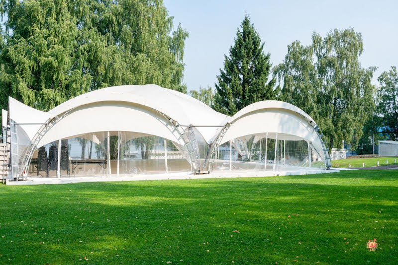 Пеликан фотография №7