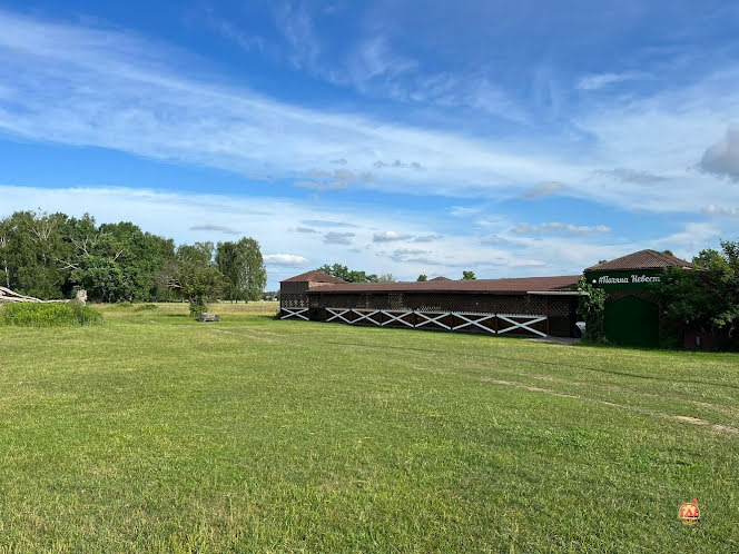 Терраса в «Поляна невест» фотография №12