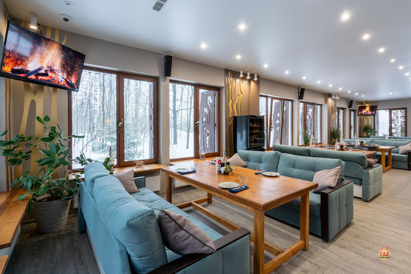 Гуси-Лебеди фотография №15