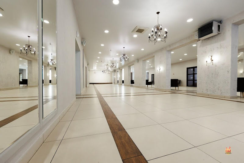 Чайка фотография №2