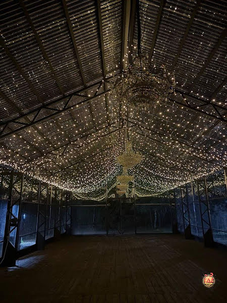 Сиреневая аллея фотография №12