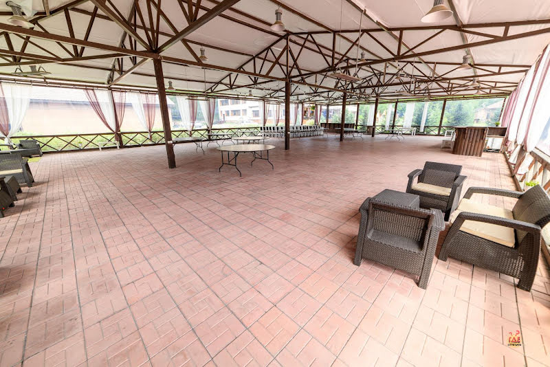 Шишка фотография №19