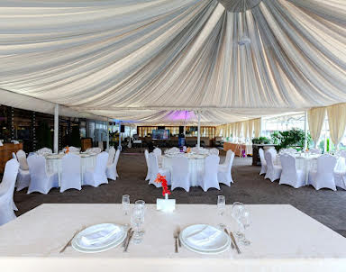 Новый год в Вега