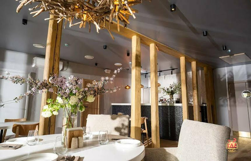 Shevol фотография №3