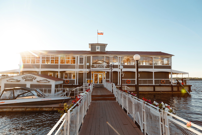 Белуга на Волге фотография №3