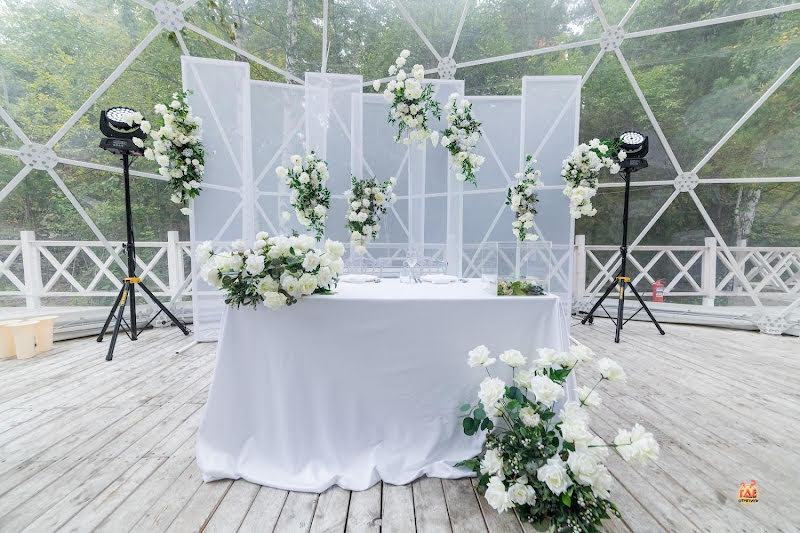 Хвоя фотография №3