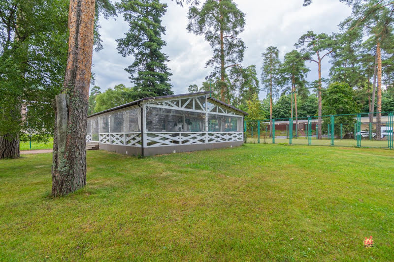 Птички и Ягоды фотография №16