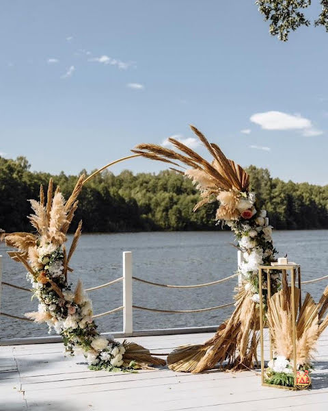 Гуси-Лебеди фотография №6