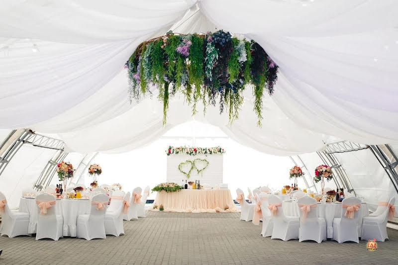 Сосны фотография №8