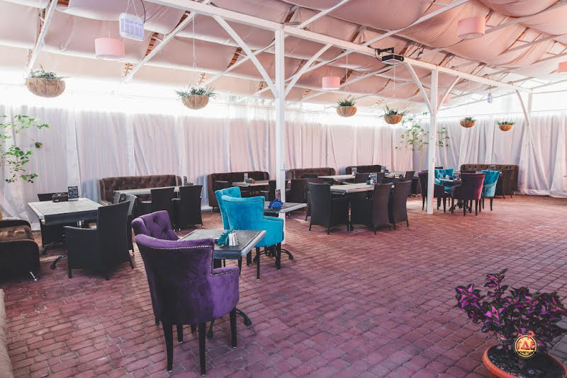 Oscar фотография №18