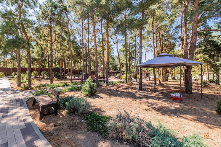 Лобби-бар  в «Наша Хвоя» фотография №13