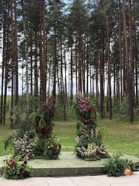 Divo фотография №3