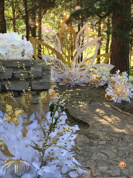 Lesnoy фотография №13