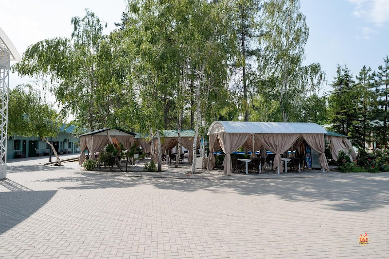 Аэлита фотография №14