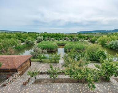 Корпоратив в Маркур