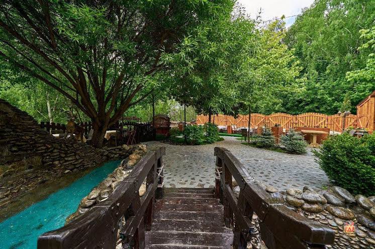 Ресторан «Шахин-Шах» в «Парадайз» фотография №11