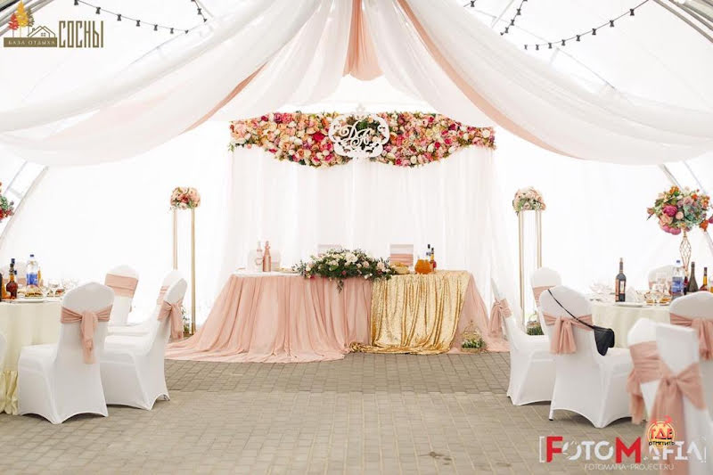 Сосны фотография №11