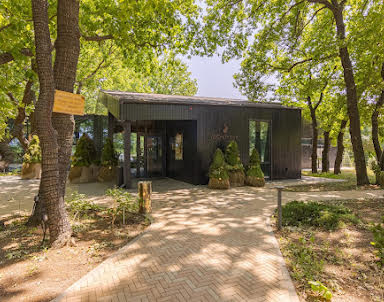  ресторан Лес и Кролик