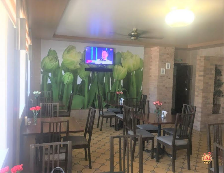 Элистар фотография №7