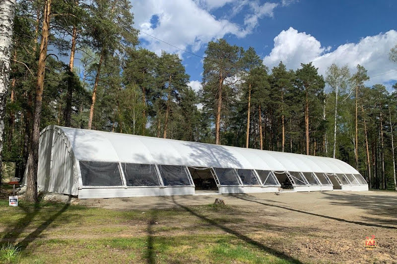 Лесная сказка фотография №9