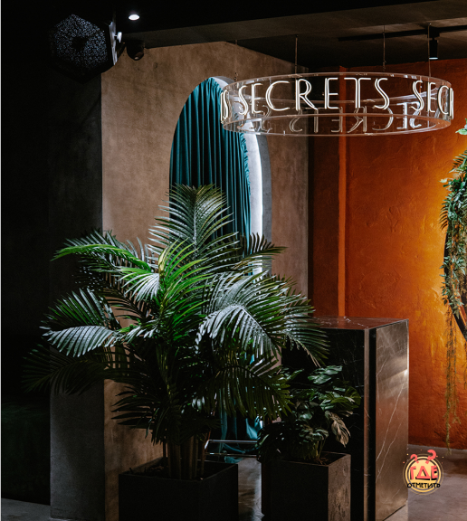 TSINIST / Цинист фотография №16