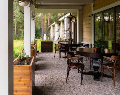 День рождения в Лес