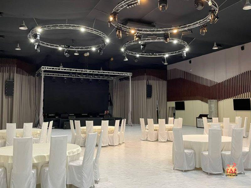 Чайка фотография №18