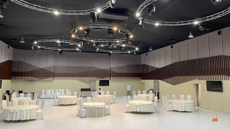 Чайка фотография №8