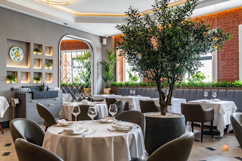 Capo фотография №17