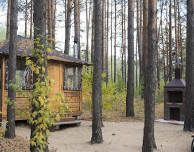  ресторан Лесная галактика