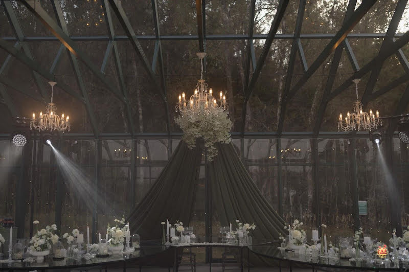 Ботаника фотография №1