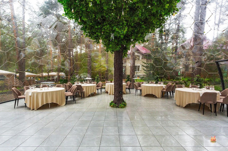 Хвоя фотография №13