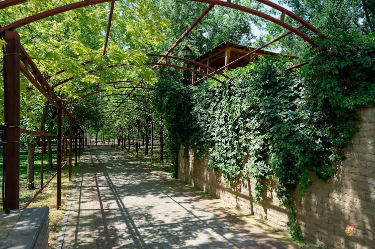 Малый зал в «Надежда» фотография №8