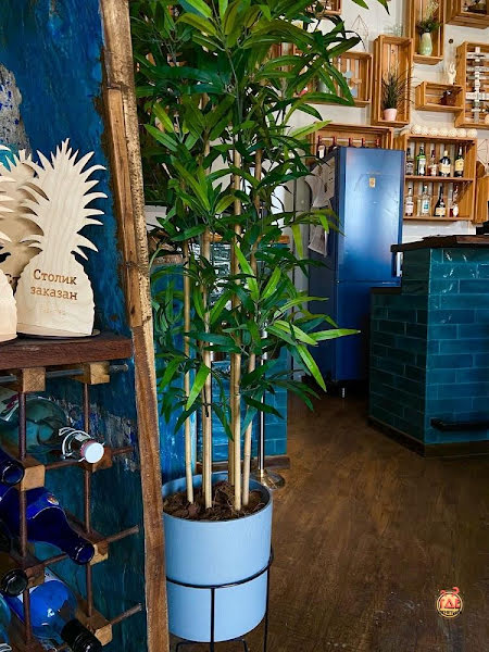 Белка фотография №7