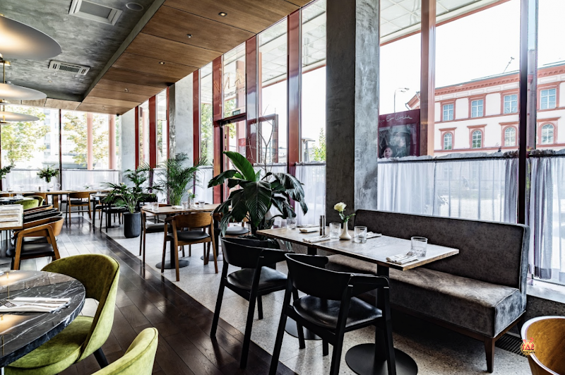 Сандро фотография №4