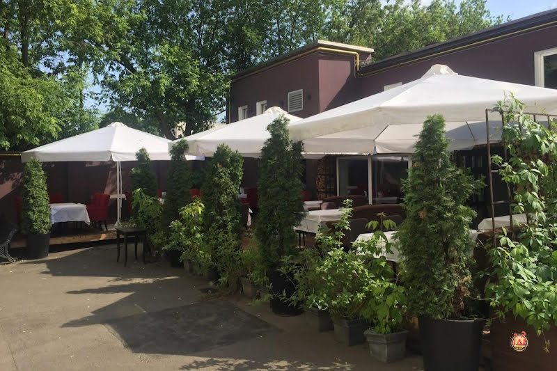 Accenti фотография №2