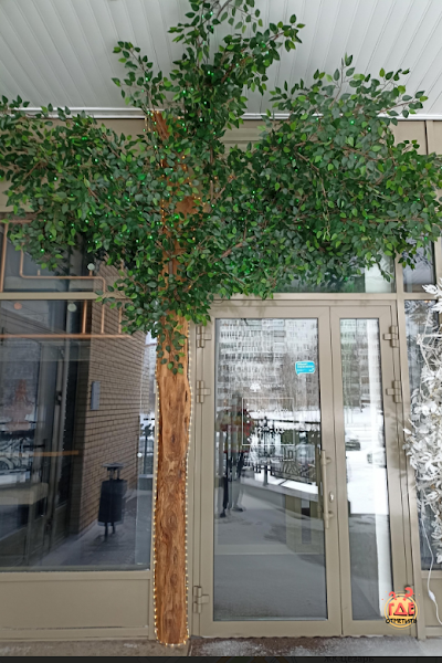 Tree Lounge фотография №4