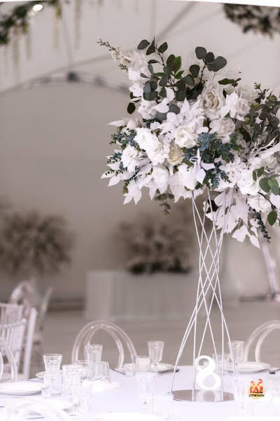 White Place фотография №5