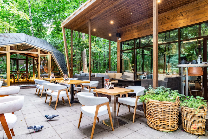 Fox фотография №16