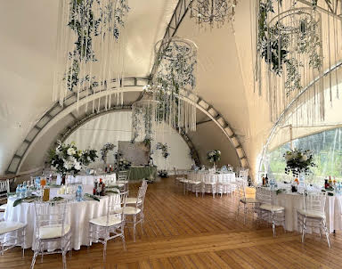 Новый год в Vnukovo Village