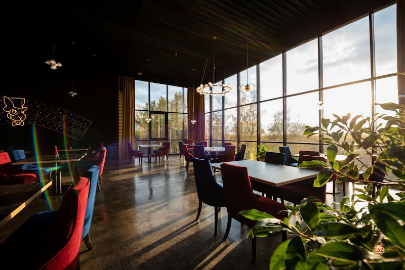 Кролик в Шляпе фотография №14