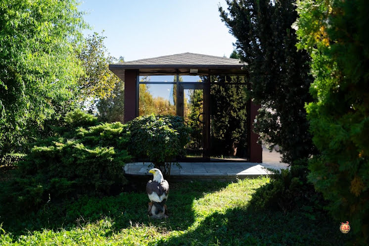 VIP-домик в «Max» фотография №3